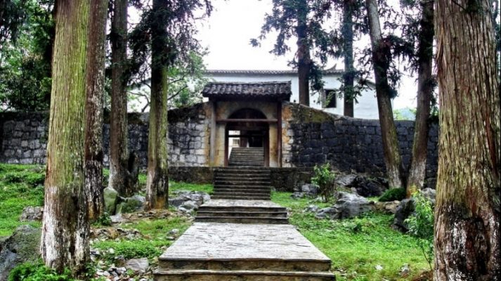 Cây mộc sa trăm tuổi bao quanh dinh thự họ vương