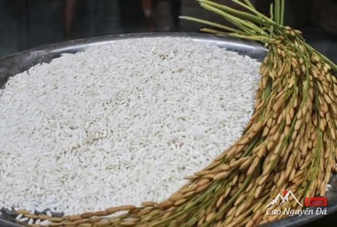 Cách làm bánh dày của người Mông ở miền núi phía bắc