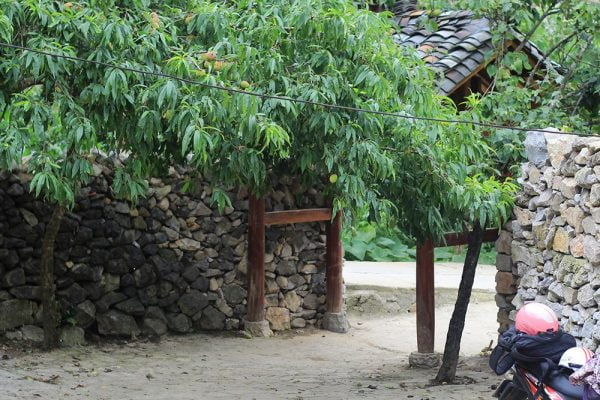Nét đẹp căn nhà của Pao