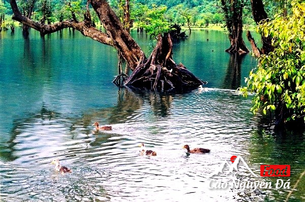 Hồ Noong - Chốn Bồng Lai tiên cảnh ở Hà Giang khiến du khách mê mẩn