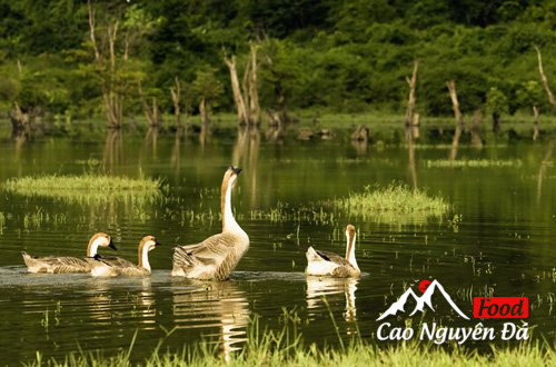 Hồ Noong - Chốn Bồng Lai tiên cảnh ở Hà Giang khiến du khách mê mẩn