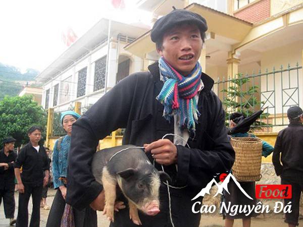 Lợn Cắp nách món ăn ngon hấp dẫn của núi rừng Tây Bắc