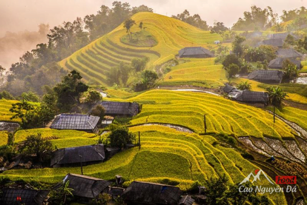 Chiêu Lầu Thi bức tranh thiên nhiên đẹp tuyệt mỹ của miền sơn cước
