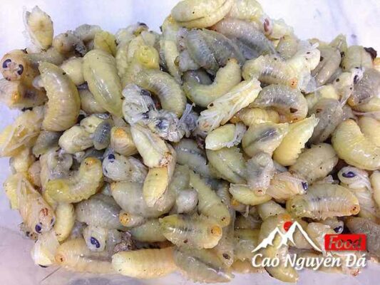 Nhộng Ong Rừng món ngon Lạ miệng miền sơn cước