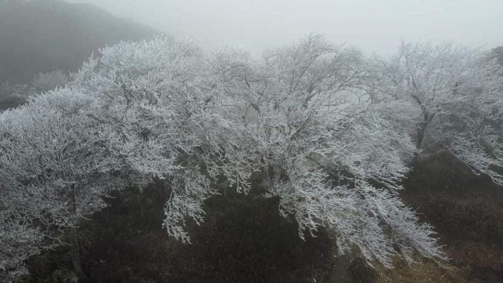 Mùa đông ở đồng văn