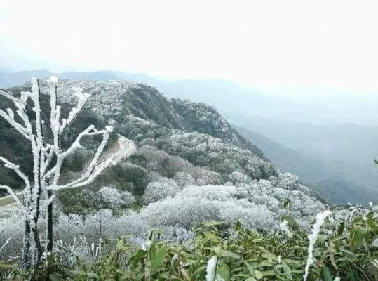 Kinh nghiệm du lịch Đồng văn Hà giang từ A đến Z