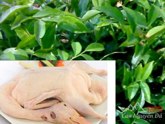 Cách làm vịt quay lá mắc mật thơm ngon khó cưỡng