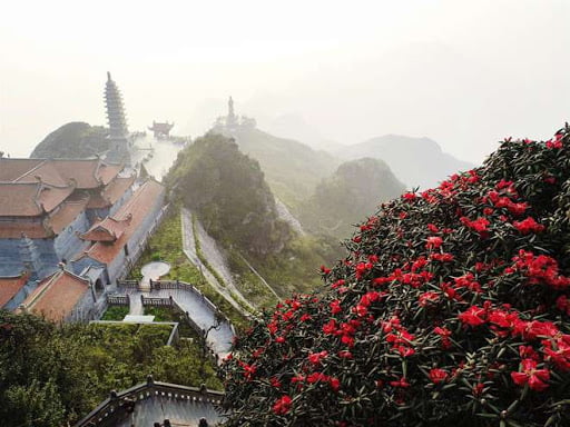 Chinh phục đỉnh Fansipan nóc nhà của đông dương khám phá điều mới lạ