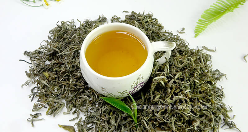 chè shan tuyết cổ thụ