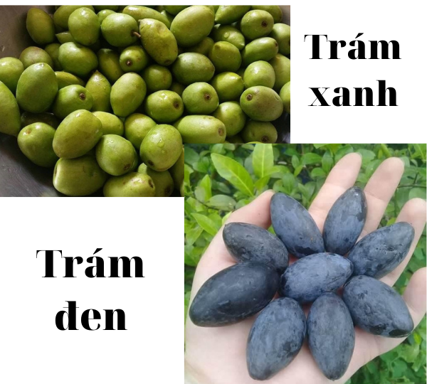 Cách làm thịt kho trám