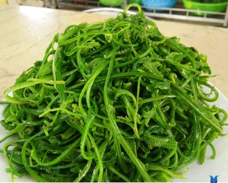 Cách làm món nộm rau dớn