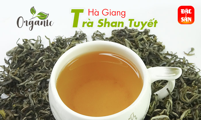 Chè Shan Tuyết Hà Giang