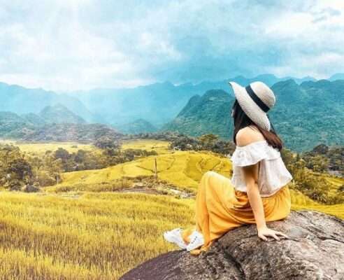 Mùa thu có quả gì đặc trưng? Mùa thu ở Hà Giang có gì đẹp?